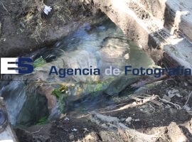 Muere octagenario en canal de riego - ES imagen agencia de fotografía