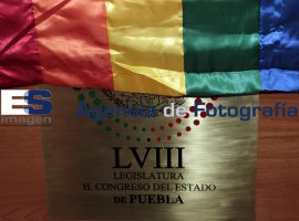 Comunidad LGBTTTIP en Congreso - ES imagen agencia de fotografía
