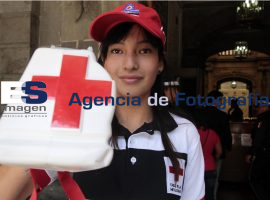 Colecta Cruz Roja 2012 - ES imagen agencia de fotografía