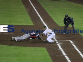 Pericos cae ante Tigres 4-2 - ES imagen agencia de fotografía
