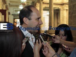 Manzanilla en Ayuntamiento Capitalino - ES imagen agencia de fotografía