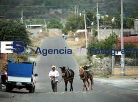 Trabajo en la zona del volcán Popocatepetl - ES imagen agencia de fotografía