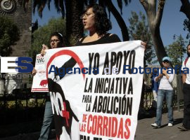 No más tauromaquia  - ES imagen agencia de fotografía