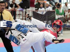 Contienden en taekwondo - ES imagen agencia de fotografía
