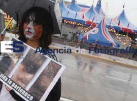 Protestan contra uso de animales en circo - ES imagen agencia de fotografía