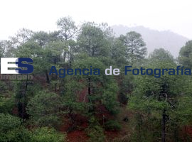 Tetela de Ocampo se opone a la minera - ES imagen agencia de fotografía