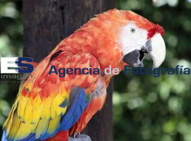 Parque el Loro - ES imagen agencia de fotografía