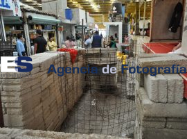 Conflicto locatarios mercado Zapata - ES imagen agencia de fotografía