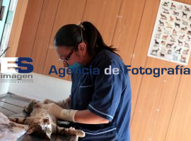 Jornadas de lectura por la paz - ES imagen agencia de fotografía