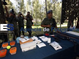 Ejercito mexicano, demostraciÃ³n adiestramiento canino - ES imagen agencia de fotografía