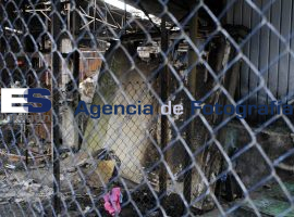 Sin avances mercado 5 de mayo - ES imagen agencia de fotografía
