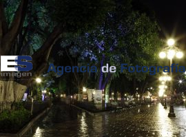 Después de la lluvia  - ES imagen agencia de fotografía