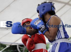 Box de barrios 2012 - ES imagen agencia de fotografía