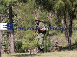 Ejército Mexicano demostración aplicación DNIII - ES imagen agencia de fotografía
