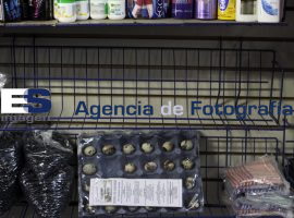 Huevo de codorniz  - ES imagen agencia de fotografía