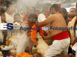 Matanza de Chivos en Tehuacán 12-10-2012 - ES imagen agencia de fotografía