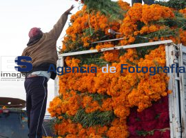 Mercado de Flores Atlixco - ES imagen agencia de fotografía