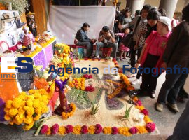 Exposición de ofrendas casa de la cultura - ES imagen agencia de fotografía