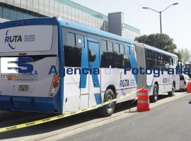 Unidades piloto transporte colectivo RUTA - ES imagen agencia de fotografía