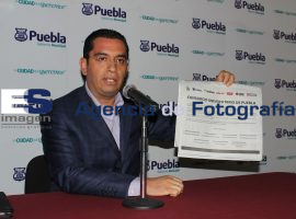 Pedro Gutierrez  Varela - ES imagen agencia de fotografía