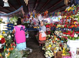 Habitantes y mercado de Tehuitzingo - ES imagen agencia de fotografía