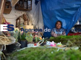 Venta de productos navideños  - ES imagen agencia de fotografía