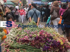 Panteón de la piedad - ES imagen agencia de fotografía
