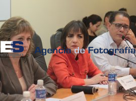 Comisión de Gobernación y Puntos Constitucionales - ES imagen agencia de fotografía