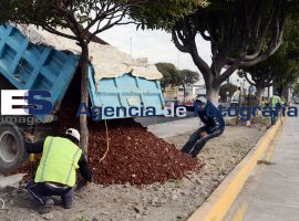 Metrobus trayecto Juárez-Serdán.  - ES imagen agencia de fotografía