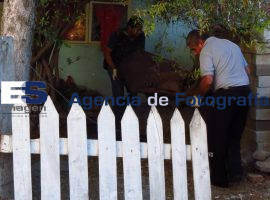 Mujer Golpeada por marido - ES imagen agencia de fotografía