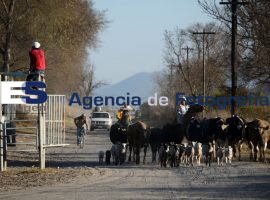 Avanzala construcción de AUDI - ES imagen agencia de fotografía