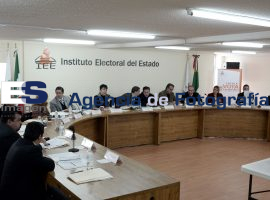 IEE aprueba tiempos de campaña  - ES imagen agencia de fotografía