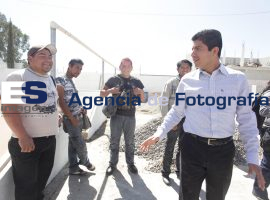 Línea Porcina TIF rastro municipal - ES imagen agencia de fotografía
