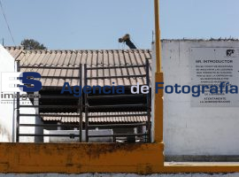 Rastro municipal  - ES imagen agencia de fotografía