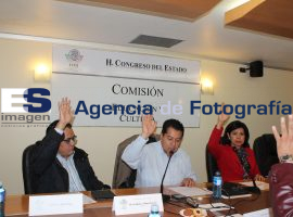 Reunión de la Comisión de Educación y Cultura - ES imagen agencia de fotografía