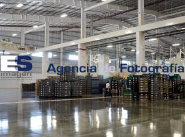 Faurecia inicia operaciones en Puebla  - ES imagen agencia de fotografía