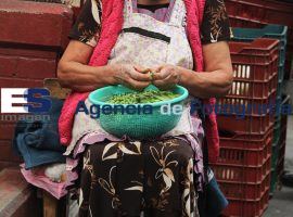 Mayor númer de personas de la Tercera Edad trabajando en mercado - ES imagen agencia de fotografía