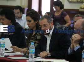 Comparecencia  de Secretaría de Medio Ambiente y Servicios Públi - ES imagen agencia de fotografía