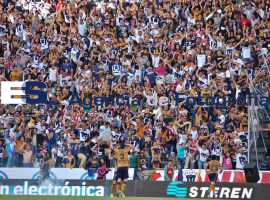 Pierde el Puebla F.C. 1-0 ante los Pumas de la UNAM 2013 afición - ES imagen agencia de fotografía