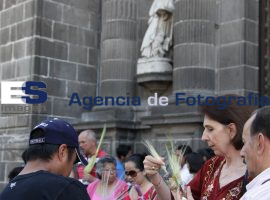 Domingo de Ramos 2013. - ES imagen agencia de fotografía