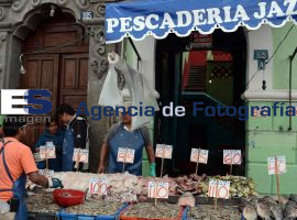 Aumenta el precio del pescado  - ES imagen agencia de fotografía
