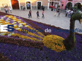Tapetes monumentales Atlixco de las flores - ES imagen agencia de fotografía