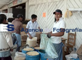 Comercio en la central de abastos  - ES imagen agencia de fotografía