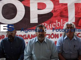 Proponen crear la Organización OPT - ES imagen agencia de fotografía