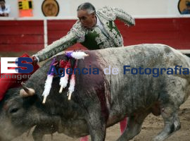 Segunda corrida de Feria  - ES imagen agencia de fotografía
