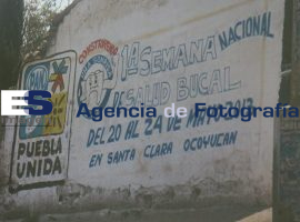 Dirigencia estatal PRI elecciones 2013 - ES imagen agencia de fotografía