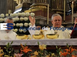 Festividades de Corpus  Christi  - ES imagen agencia de fotografía