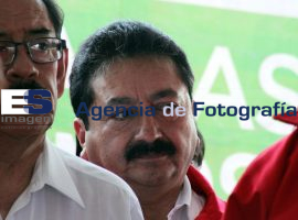 Agüera en la colonia Historiadores   - ES imagen agencia de fotografía