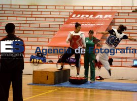 Entrena selección de taekwondo  - ES imagen agencia de fotografía