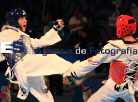 Competencias WTF - ES imagen agencia de fotografía